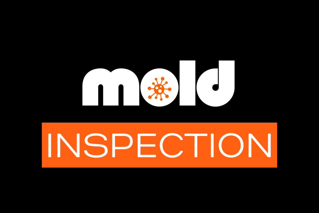 mold inspection kansas city mo