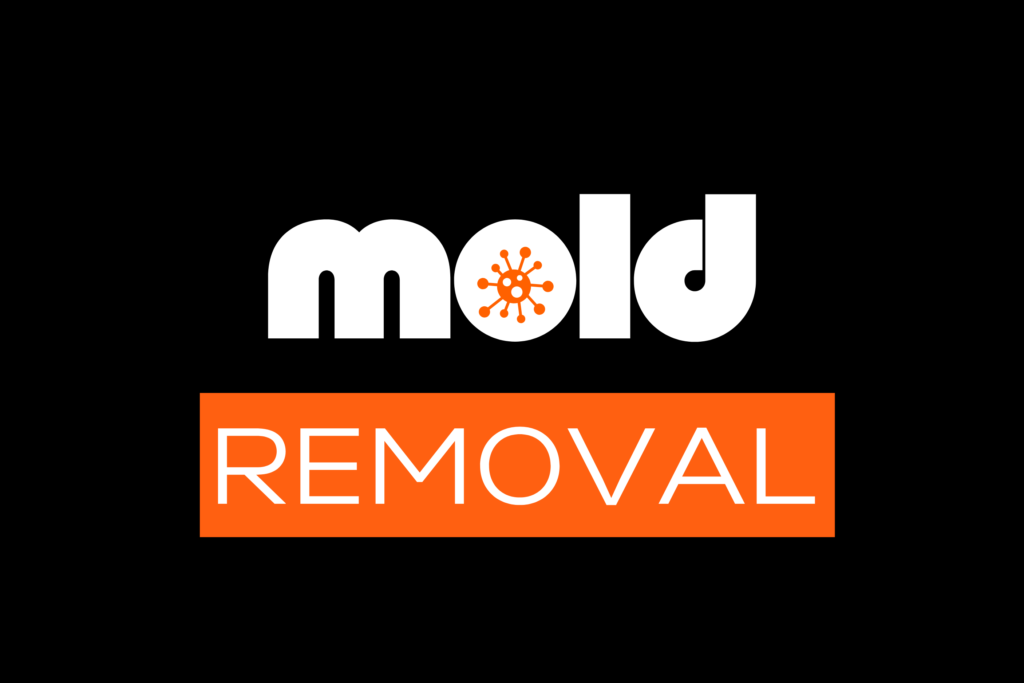 kansas city mold removal