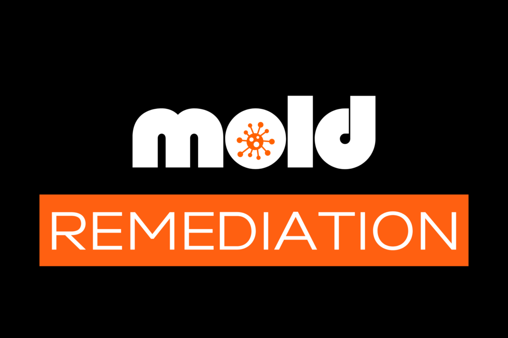 kansas city mold remediation